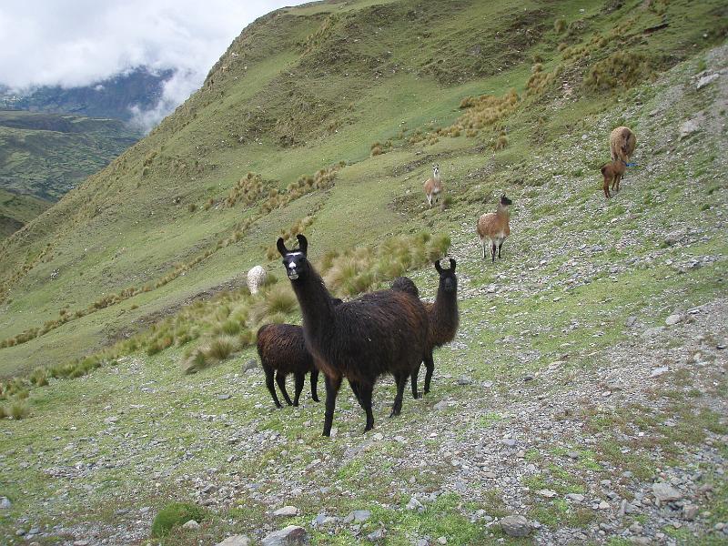 Illampu Trek (16).JPG